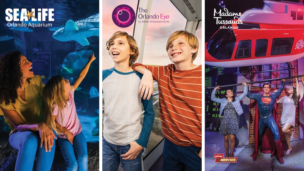 SEA LIFE Aquarium & Madame Tussauds & The Orlando Eye