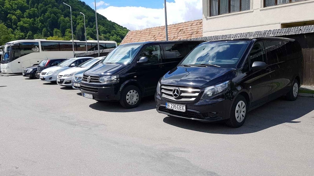 Picture 7 for Activity Day Trip to Transfagarasan