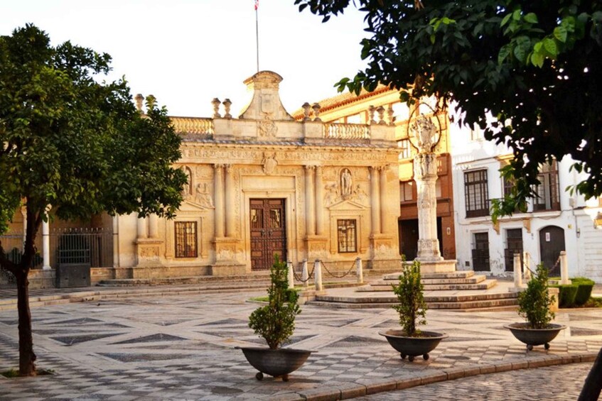 Picture 6 for Activity Jerez: Historic Center Guided Tour