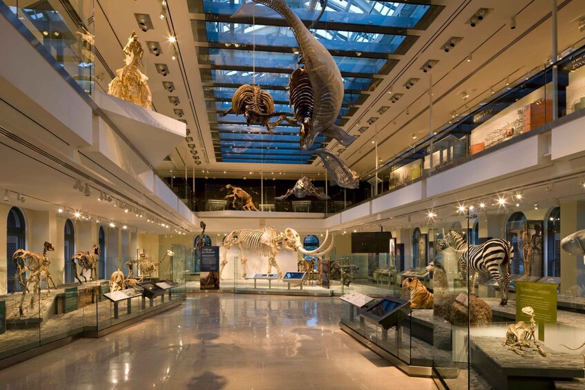 Picture 1 for Activity Los Angeles: Natural History Museum of LA Entry Ticket