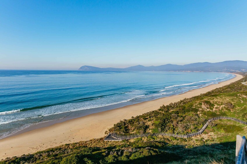 Picture 6 for Activity From Hobart/Adventure Bay: Bruny Island Wilderness Cruise