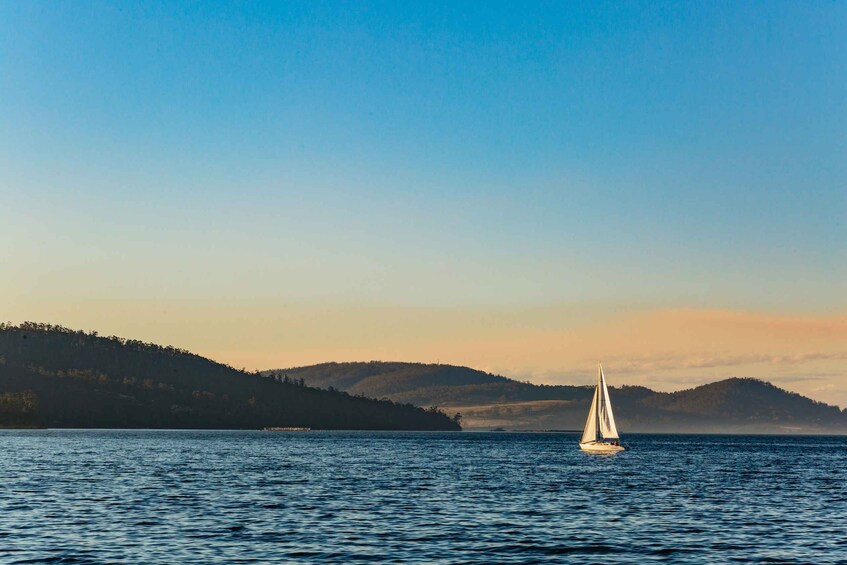 Picture 25 for Activity From Hobart/Adventure Bay: Bruny Island Wilderness Cruise