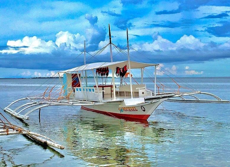 Picture 1 for Activity Cebu Island Hopping with Lunch