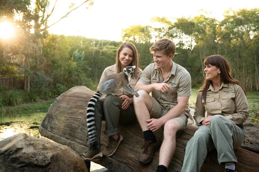 Picture 7 for Activity From Brisbane: Australia Zoo Transfer and Entry Ticket
