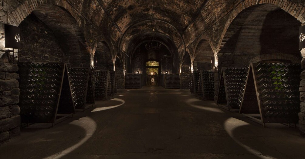 Picture 1 for Activity From Bergamo: Winery Tour in Franciacorta with Lunch