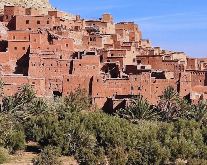 Picture 51 for Activity From Marrakech: Day Trip to Ouarzazate and Ait Benhaddou