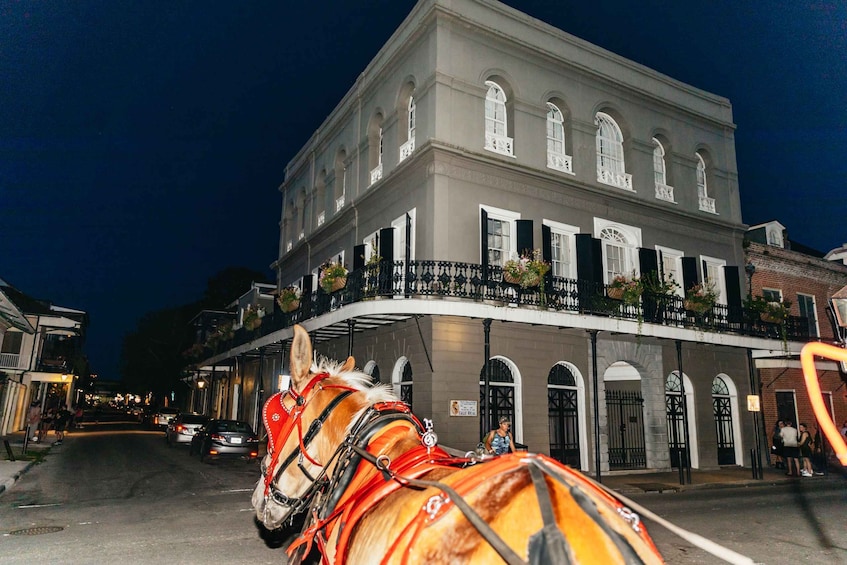 Picture 1 for Activity New Orleans: French Quarter Sightseeing Carriage Ride