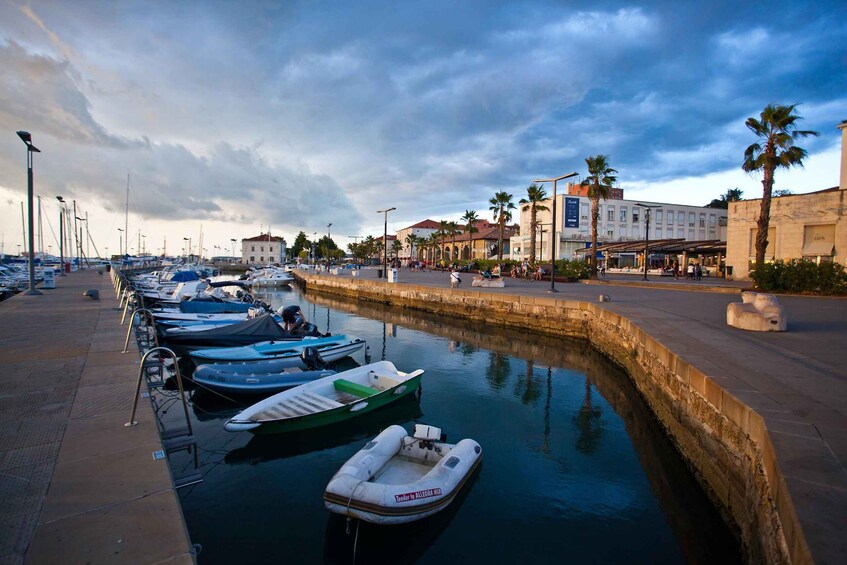 Picture 2 for Activity From Koper: Slovenian Riviera Bus Tour with Food Tastings