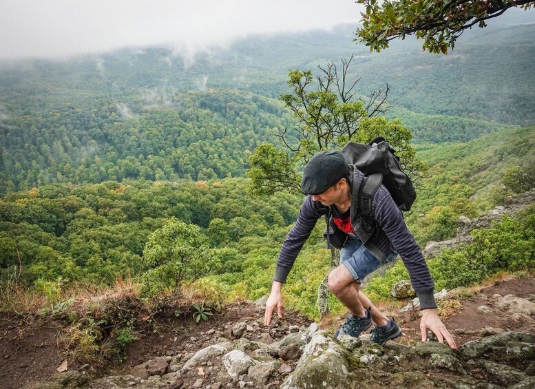 Picture 13 for Activity Danube Bend: Full-Day Hiking Tour from Budapest