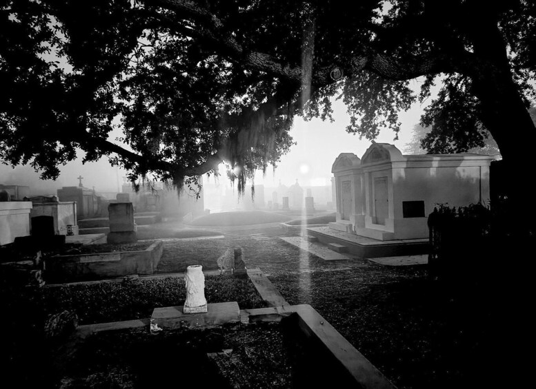 Picture 25 for Activity New Orleans: Cemetery Bus Tour At Dark with Exclusive Access