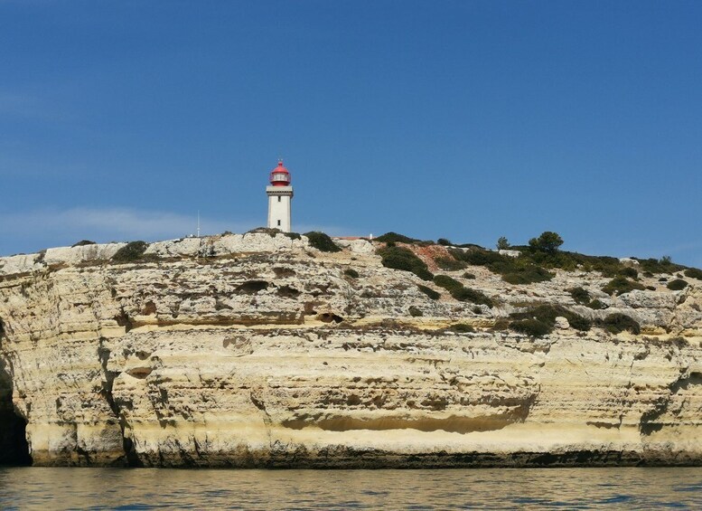 Picture 10 for Activity Albufeira: Coastline and Benagil Caves Tour by Catamaran