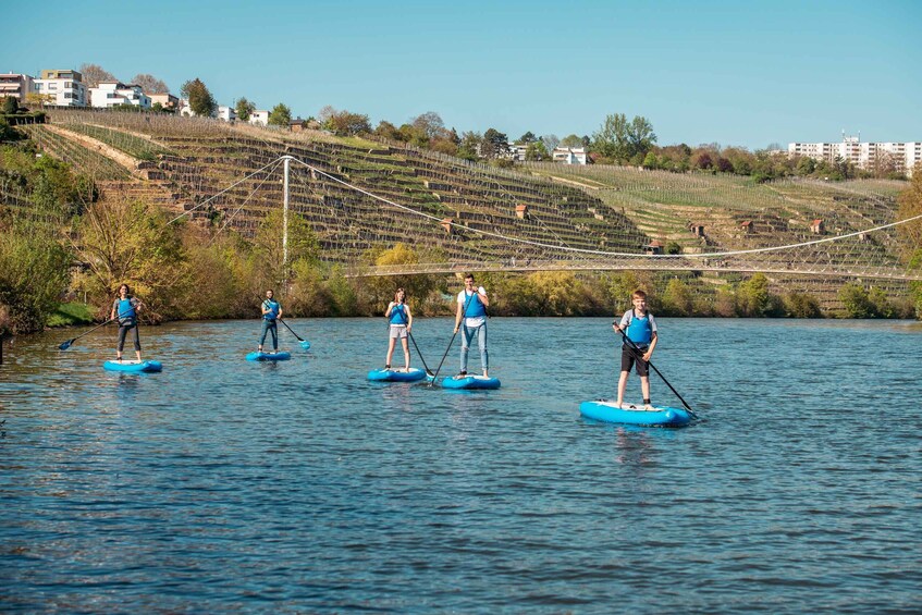 Picture 2 for Activity SUP Yoga with Guide