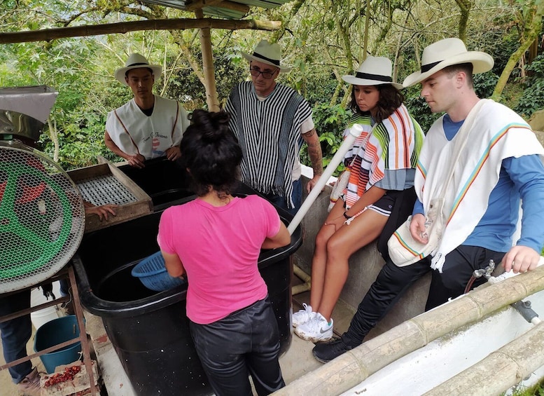 Picture 7 for Activity Bogotá: Guided 5-Hour Coffee Farm Tour