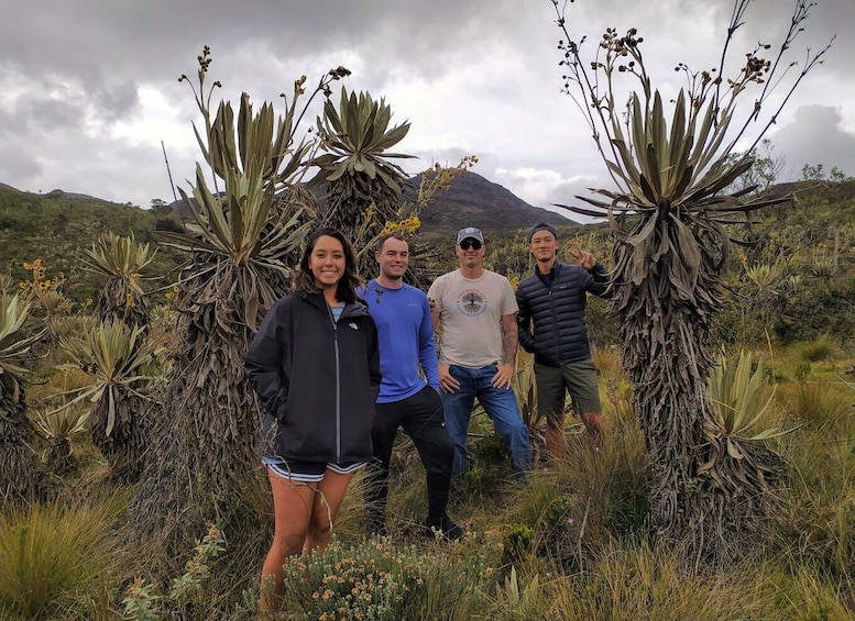 Picture 5 for Activity Bogotá: Guided 5-Hour Coffee Farm Tour