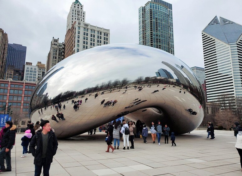 Picture 7 for Activity Chicago: City Minibus Tour with Optional Architecture Cruise