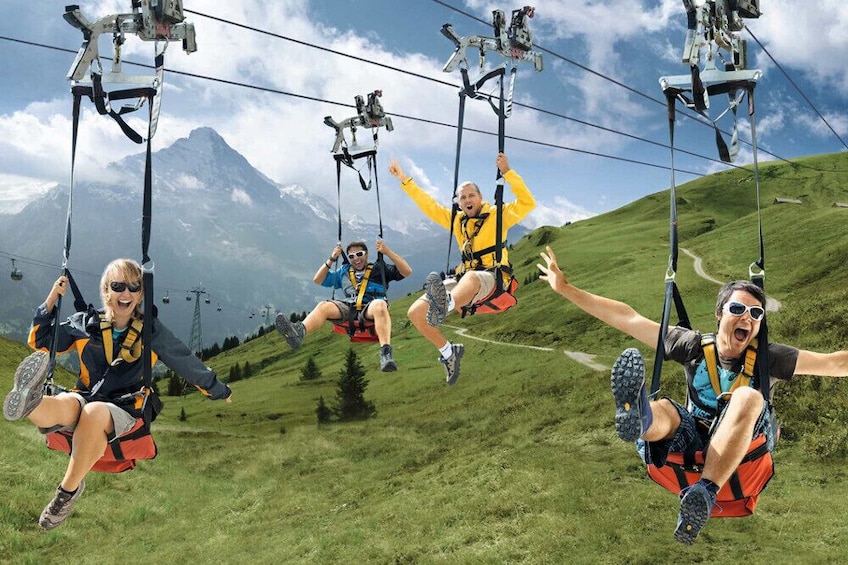 Mount First & Grindelwald Adventure from Zürich
