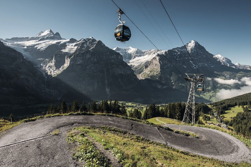 Mount First & Grindelwald Adventure from Lucerne