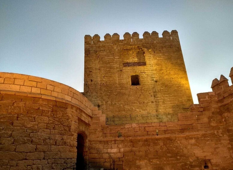 Picture 1 for Activity Almeria: Alcazaba Guided Tour