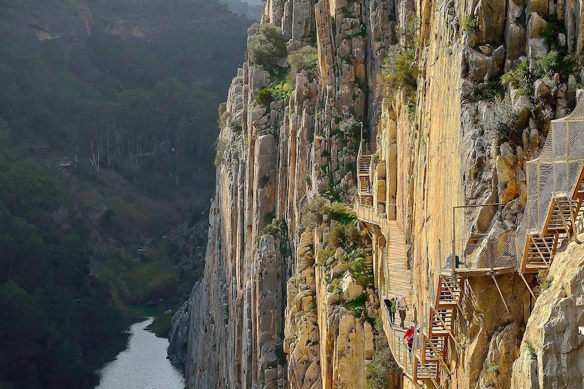 Picture 6 for Activity From Costa del Sol: Caminito del Rey Day Trip