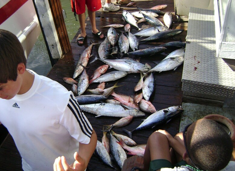 Picture 25 for Activity Fort Lauderdale: 4-Hour Deep Sea Drift Fishing Trip