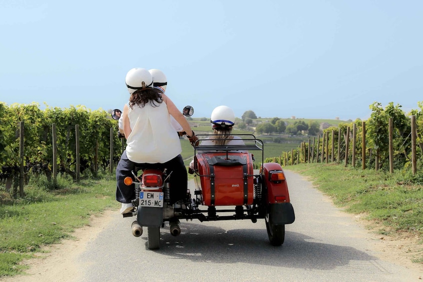 Picture 19 for Activity From Bordeaux: Saint-Emilion Wine Tour in a Sidecar