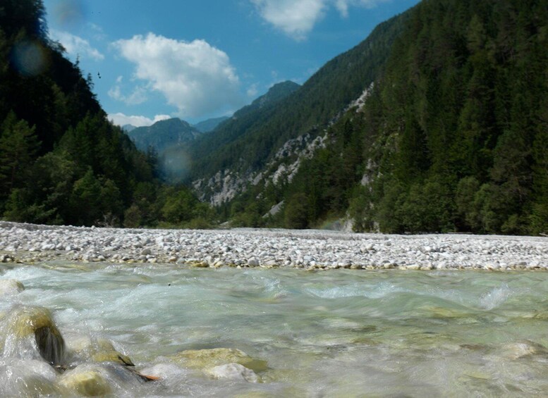 Picture 11 for Activity Ljubljana: Lake Bled & Triglav National Park Full-Day Trip