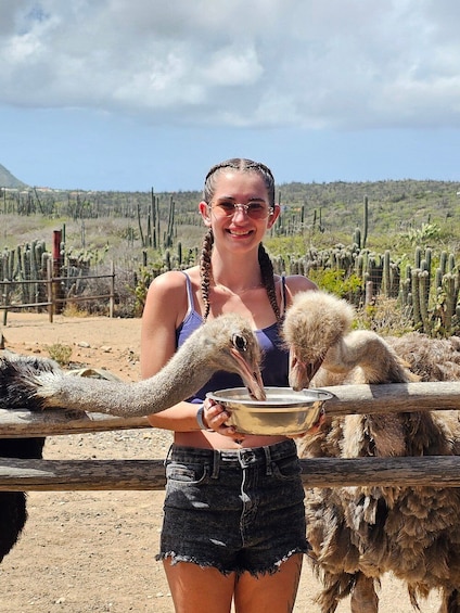 Fauna Tour: Ostriches, Donkeys & Philip's Animal Garden