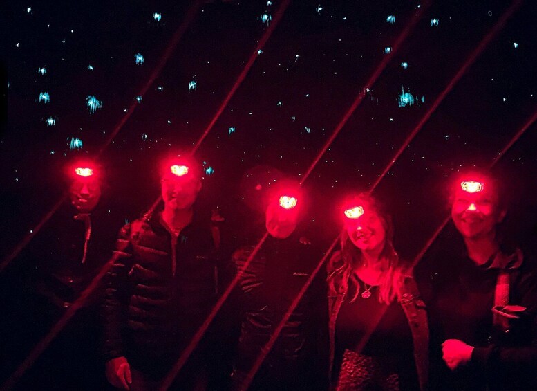 Picture 5 for Activity Sydney: Blue Mountains Glow Worms Wild Adventure by Night
