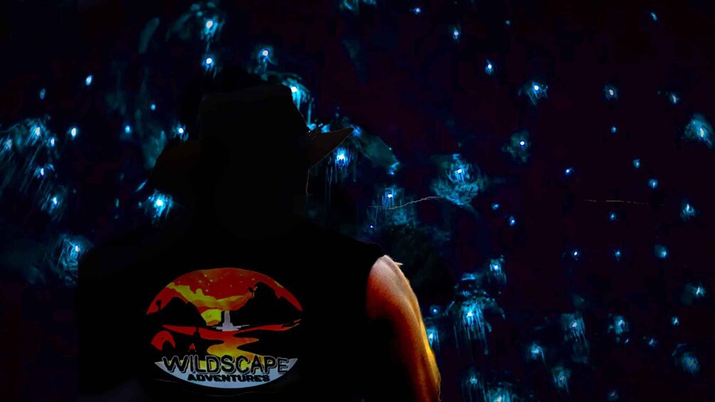 Sydney: Blue Mountains Glow Worms Wild Adventure by Night