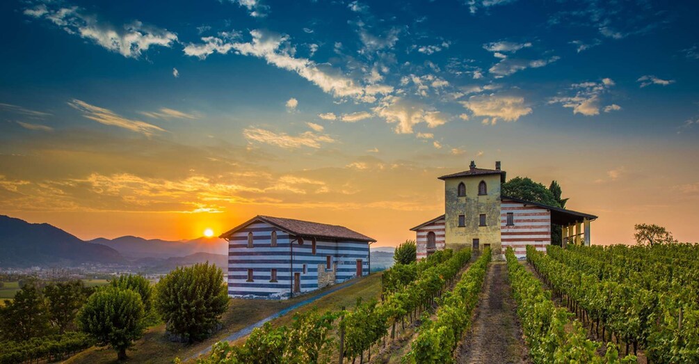 Picture 1 for Activity Milan: Franciacorta Winery and Bergamo Day Trip with Lunch