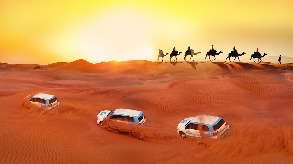 Premium Red Dunes & Camel Safari with BBQ at Al Khayma Camp