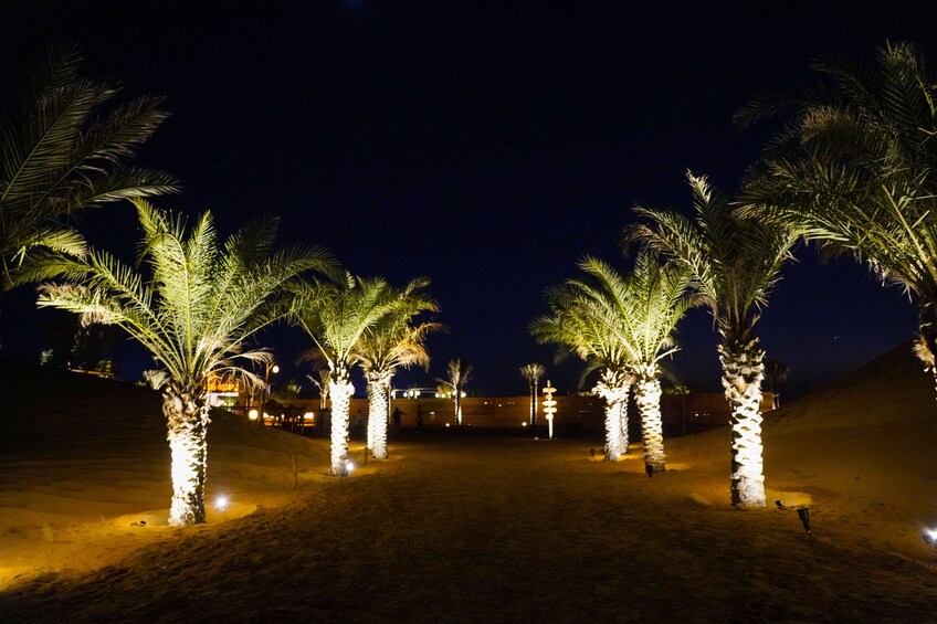 Premium Red Dunes Safari, Camel Ride & BBQ Buffet Dinner at Al Khayma Camp