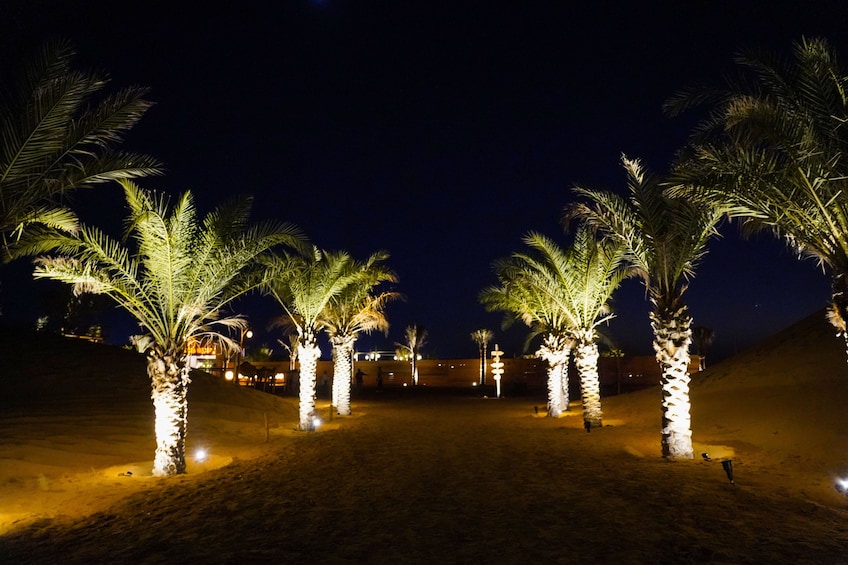 Premium Red Dunes Safari, Camel Ride & BBQ Buffet Dinner at Al Khayma Camp