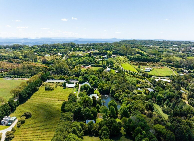 Picture 17 for Activity Brisbane: Luxury Winery Tour with Gourmet Lunch & Distillery