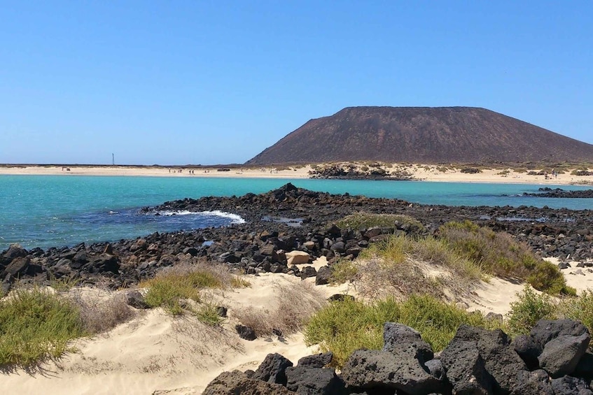 Picture 7 for Activity Lanzarote: Lobos Island Half-Day Dolphin Watching Trip