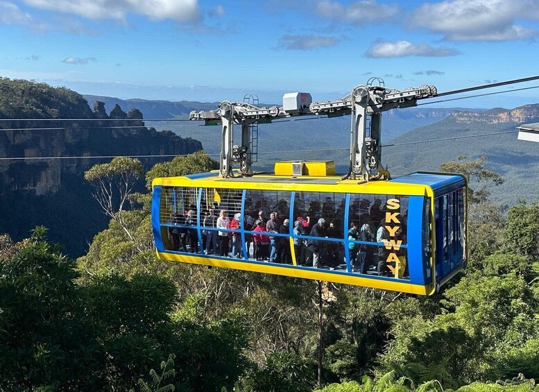 Picture 19 for Activity Blue Mountains: Scenic World, Waterfalls, and Wildlife Park