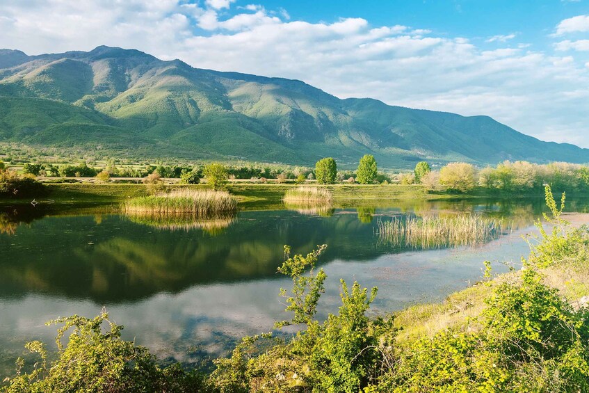 Picture 8 for Activity From Thessaloniki: Private Day Trip to Kerkini Lake