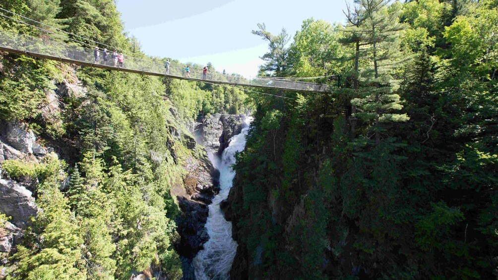 Picture 5 for Activity Canyon Sainte-Anne: Park Admission Ticket