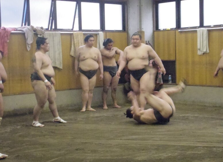 Picture 11 for Activity Tokyo: Sumo Morning Practice Viewing Tour