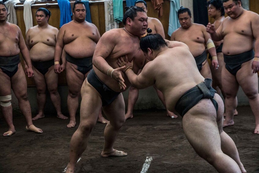 Picture 18 for Activity Tokyo: Sumo Morning Practice Viewing Tour