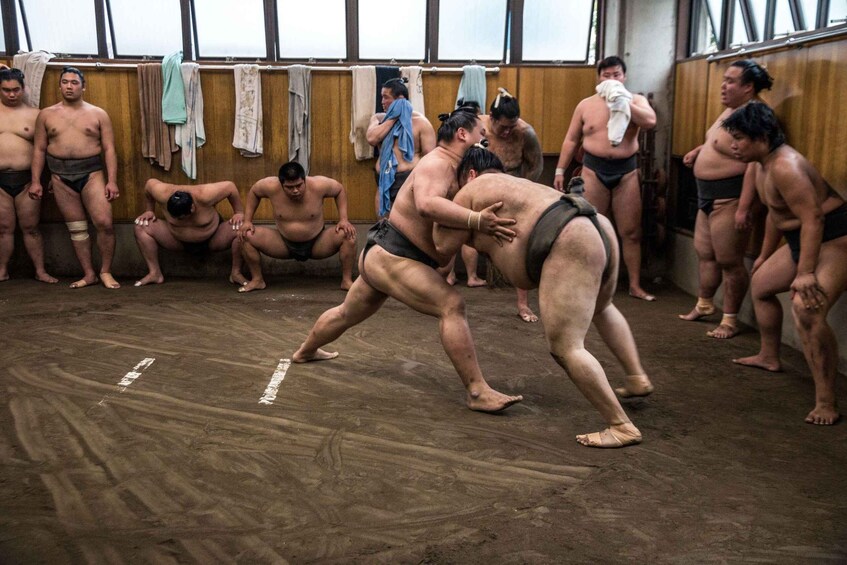 Picture 5 for Activity Tokyo: Sumo Morning Practice Viewing Tour