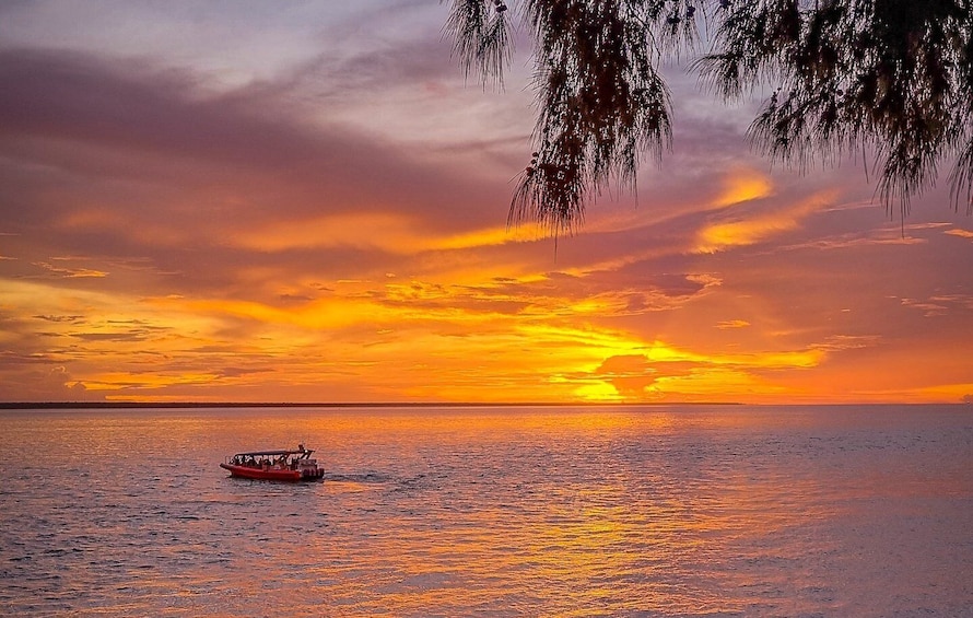 Darwin: Sunset Harbour Cruise with Fish and Chips Dinner