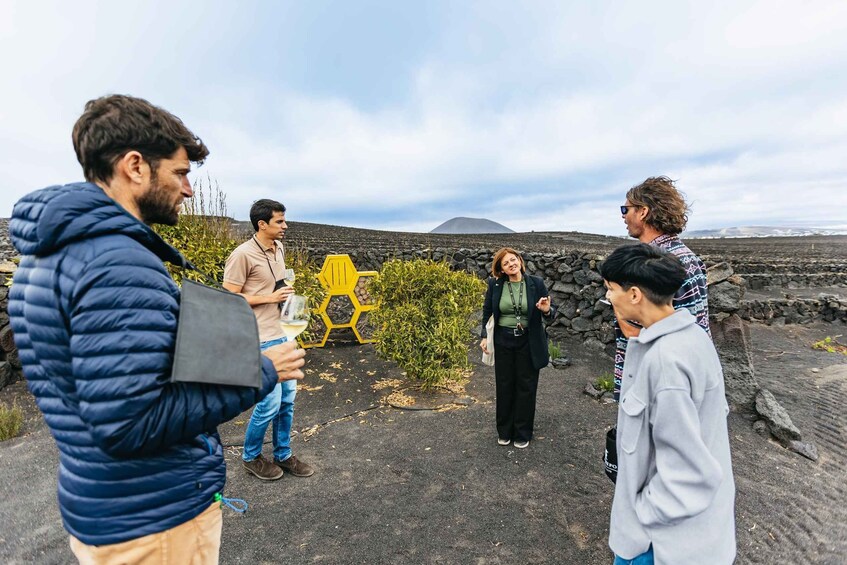Picture 2 for Activity Lanzarote: Wine Tasting Tour at El Grifo Bodega
