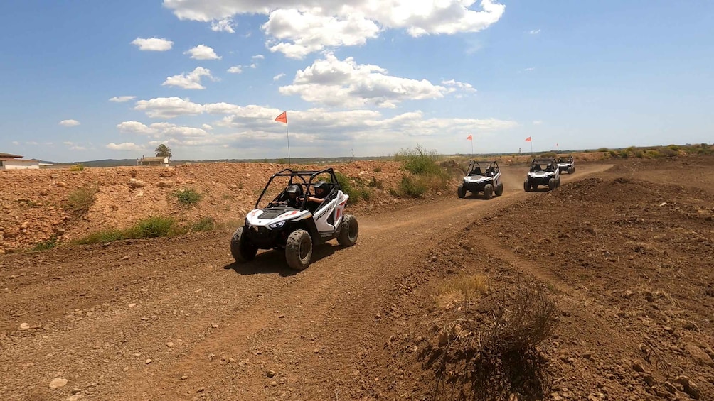 Picture 12 for Activity Mallorca Kids Buggy