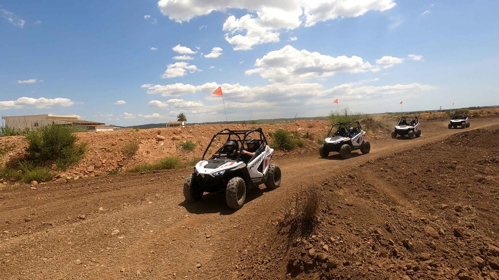 Picture 14 for Activity Mallorca Kids Buggy