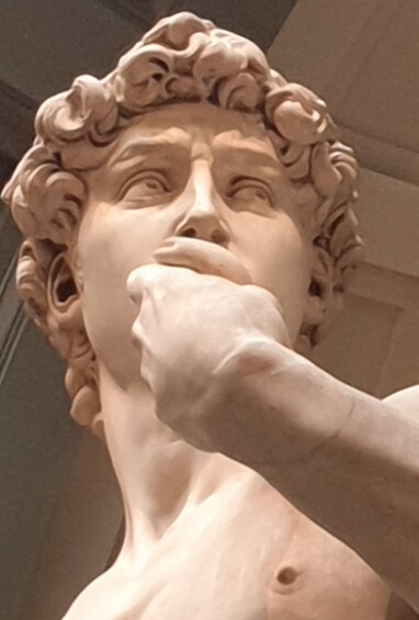 Skip the line fixed entrance: Michelangelo's David Guided Tour