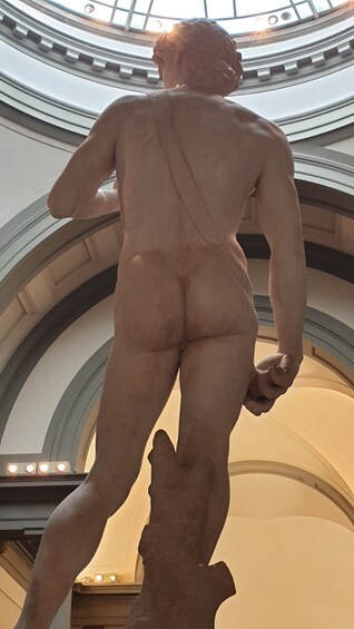 Skip the line fixed entrance: Michelangelo's David Guided Tour
