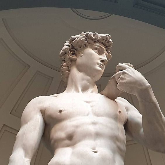 Skip the line fixed entrance: Michelangelo's David Guided Tour