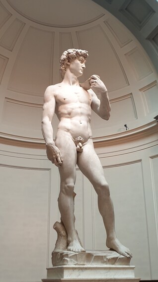 Skip the line fixed entrance: Michelangelo's David Guided Tour