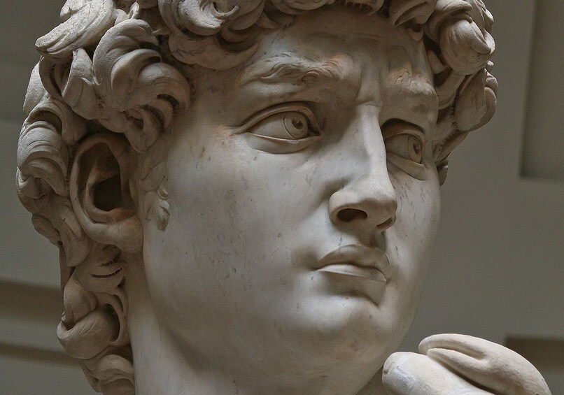 Skip the line fixed entrance: Michelangelo's David Guided Tour